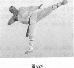 图片33