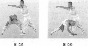 图片64