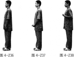 图片14