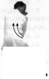 图片11