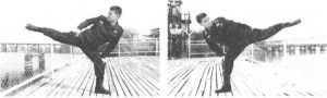 图片15