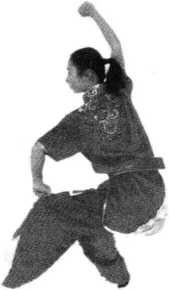 图片51