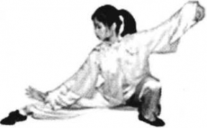 图片135