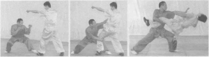图片14