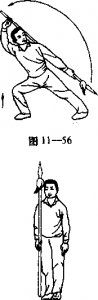 图片299