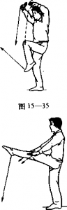图片334