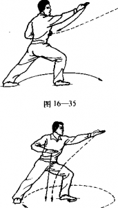 图片371