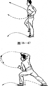 图片381