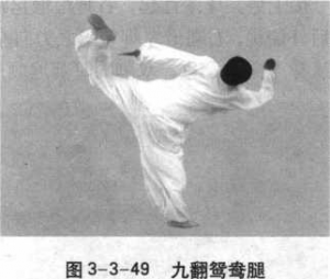 图片84