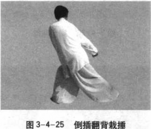 图片98