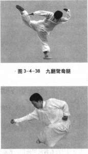 图片111