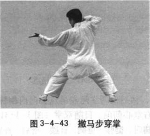 图片113
