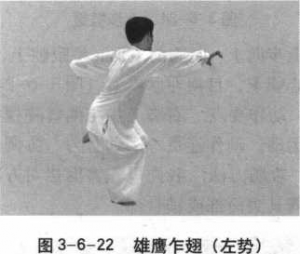 图片8