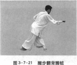 图片31