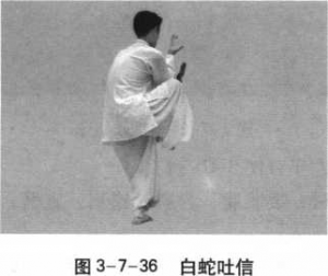 图片41