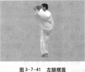 图片46