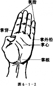 图片8
