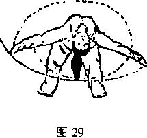 图片6