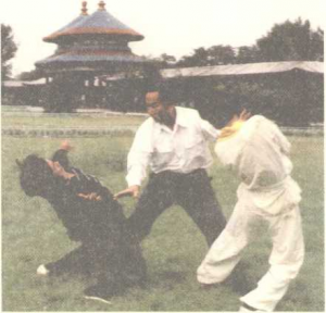图片21