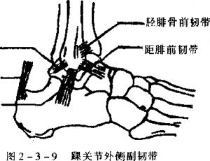 图片9
