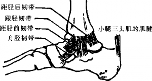 图片10