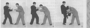 图片86