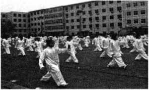 图片18