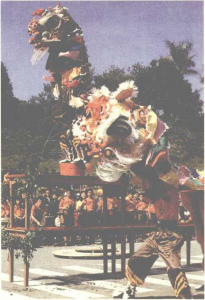 图片9