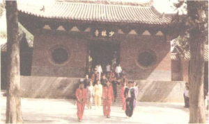 图片6