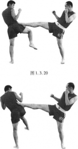 图片61
