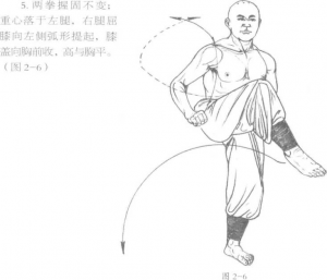 图片6