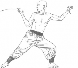 图片15