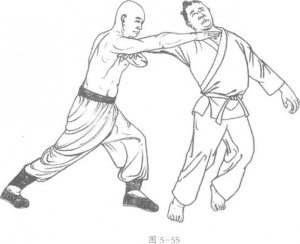 图片48