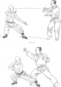 图片47