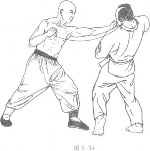 图片49
