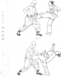 图片89