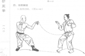 图片86