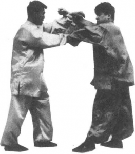 图片14