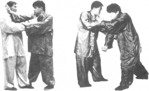 图片36