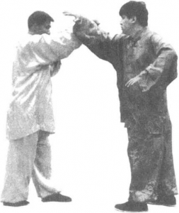 图片28