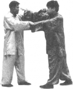 图片29