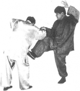 图片24
