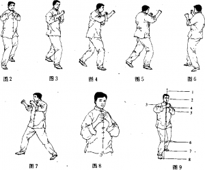 图片1