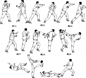 图片10