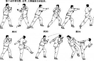 图片11
