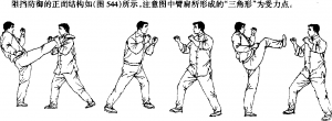 图片34