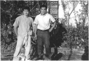 图片2