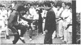 图片15