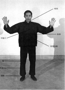 图片50