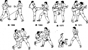 图片12